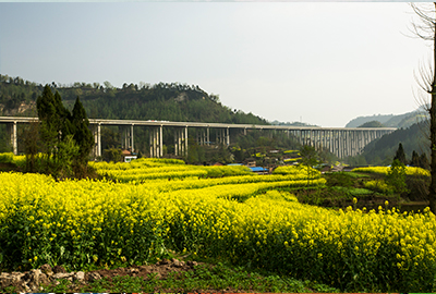 萬(wàn)源（陜川界）至達(dá)州（徐家壩）段高速公路